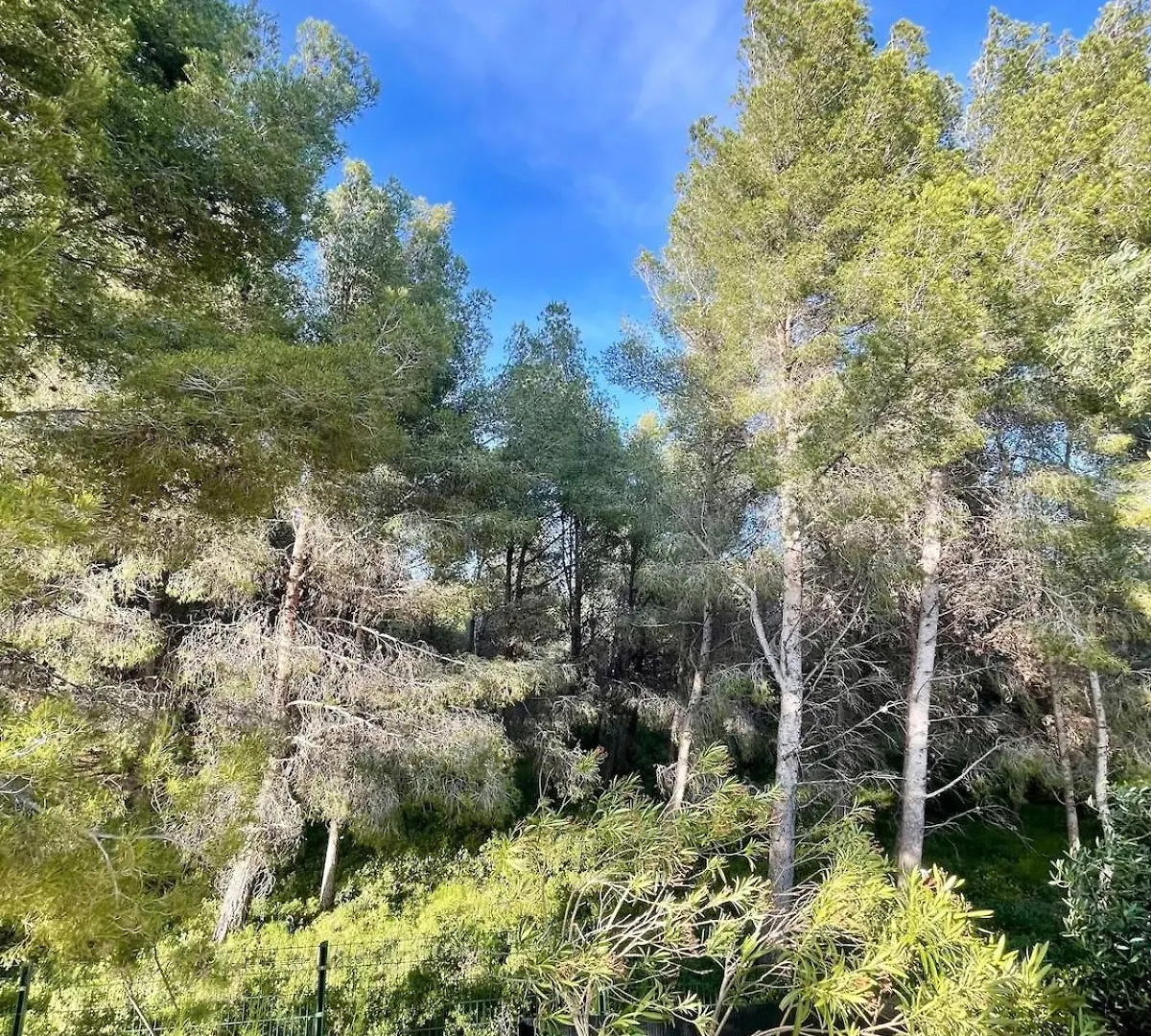 Apartment Appartement A 500M De La Mer Sausset-les-Pins